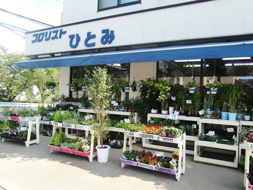 花の店 フロリスト ひとみ 吉川 楽しい生活新聞